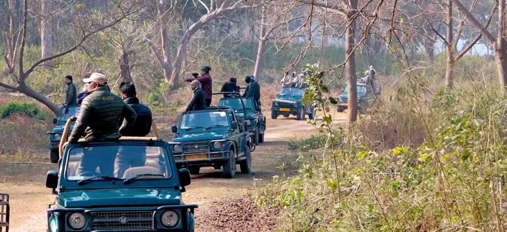 Jim Corbett National Park travel guide