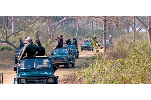 Jim Corbett National Park