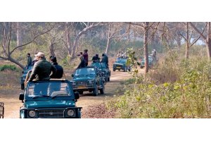 Jim Corbett National Park