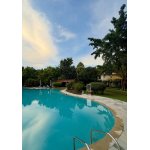 tarangi jim corbett pine wood cottage staycation 3