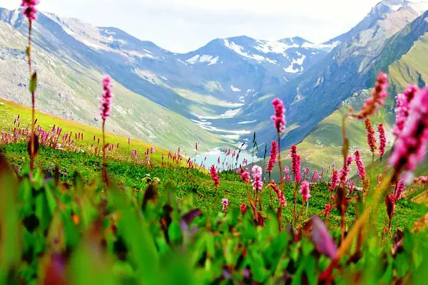5 Night 6 Days Valley of Flower Tour Package at Just 10999 Rs
