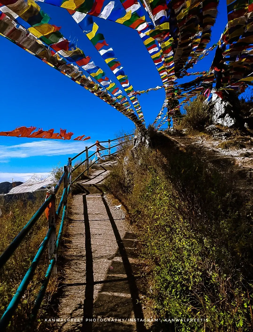 Dalai Hills Mussoorie Trek guide , Distance , How to reach ,Trek Itinerary,uttarakhand places, Uttarakhand tourist places