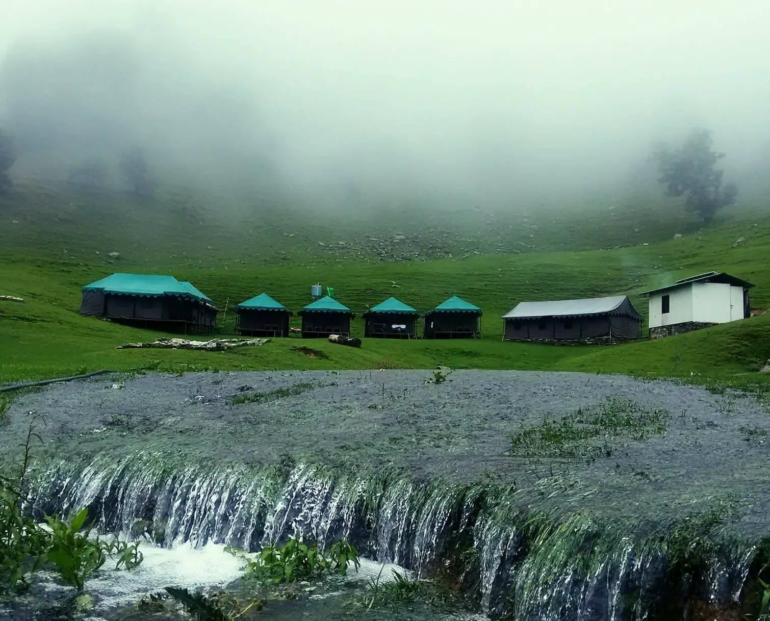 Chopta Mini Switzerland of Uttarakhand , Uttarakhand Places, Chopta Weather June 2022 , Temprature , 7 Days Weather Forecast