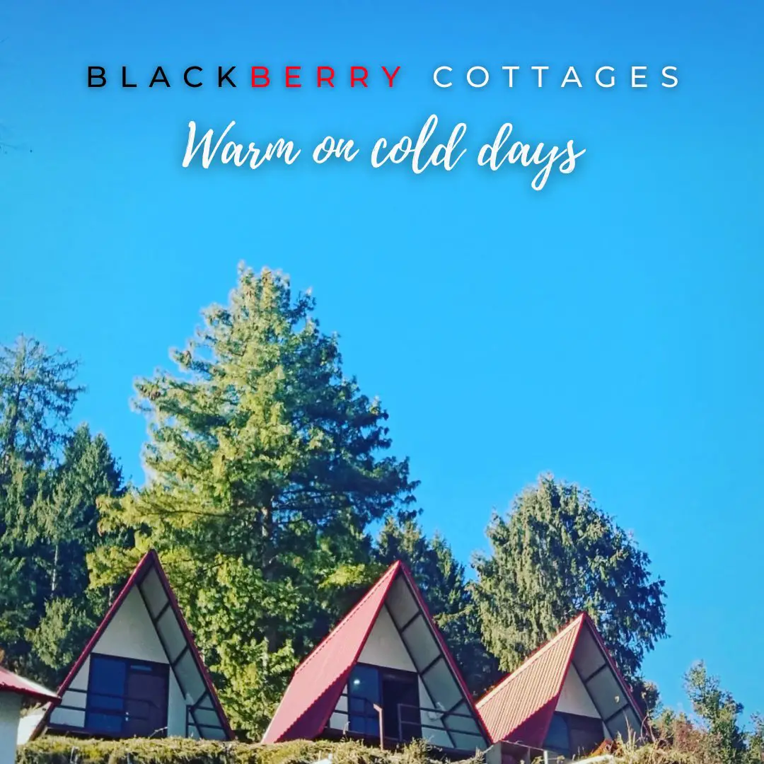 Black Berry Cottage Auli Resorts